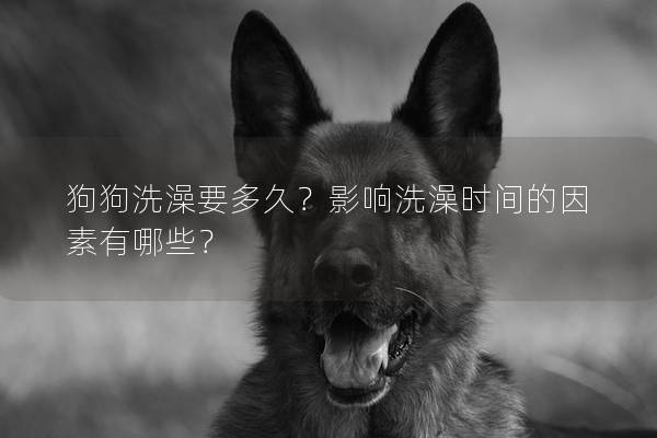 狗狗洗澡要多久？影響洗澡時間的因素有哪些？