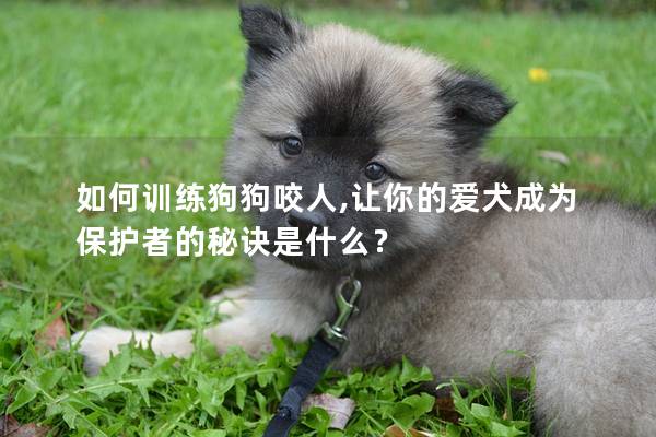 如何訓練狗狗咬人,讓你的愛犬成為保護者的秘訣是什么? 如何訓練狗狗咬人,讓你的愛犬成為保護者的秘訣是什么?