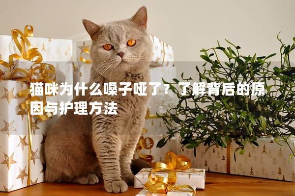 貓咪為什么嗓子啞了？了解背后的原因與護理方法