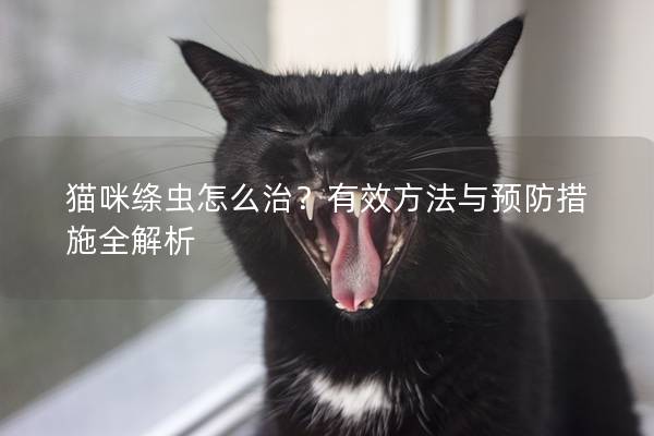貓咪絳蟲(chóng)怎么治？有效方法與預(yù)防措施全解析