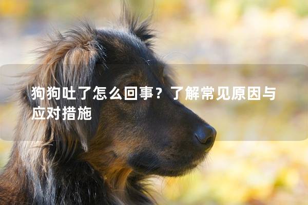 狗狗吐了怎么回事?了解常見原因與應對措施 狗狗吐了怎么回事?了解常見原因與應對措施