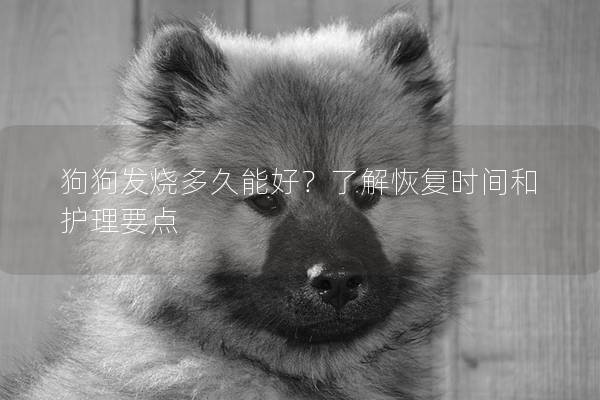 狗狗發燒多久能好？了解恢復時間和護理要點