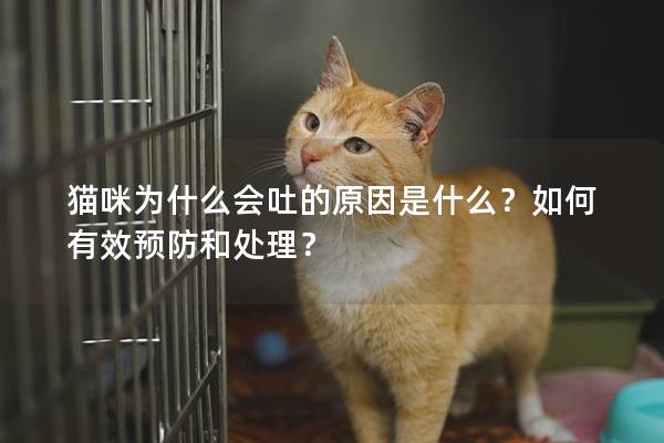 貓咪為什么會(huì)吐的原因是什么？如何有效預(yù)防和處理？