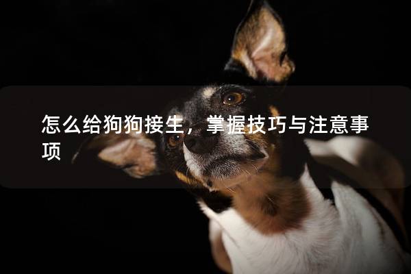 怎么給狗狗接生,掌握技巧與注意事項 怎么給狗狗接生,掌握技巧與注意事項