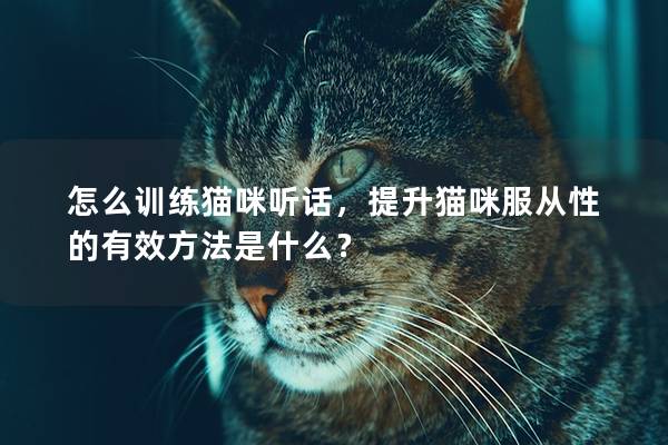 怎么訓(xùn)練貓咪聽話，提升貓咪服從性的有效方法是什么？