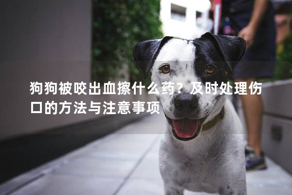狗狗被咬出血擦什么藥？及時處理傷口的方法與注意事項
