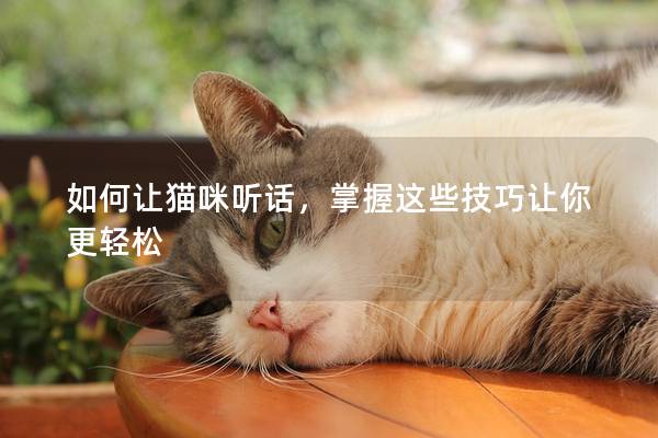 如何讓貓咪聽(tīng)話，掌握這些技巧讓你更輕松