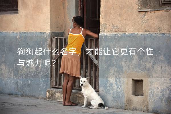 狗狗起什么名字，才能讓它更有個性與魅力呢？