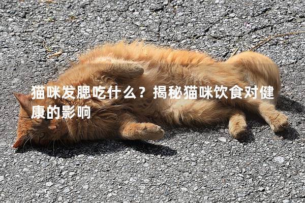 貓咪發腮吃什么？揭秘貓咪飲食對健康的影響