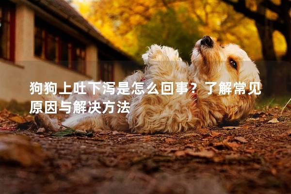 狗狗上吐下瀉是怎么回事？了解常見原因與解決方法