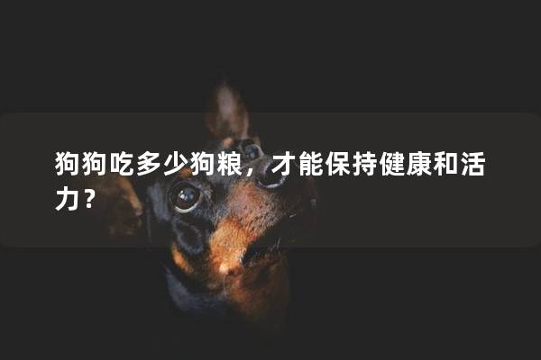 狗狗吃多少狗糧，才能保持健康和活力？