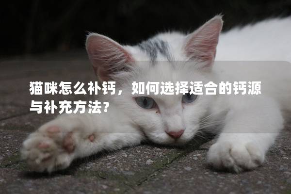 貓咪怎么補鈣，如何選擇適合的鈣源與補充方法？