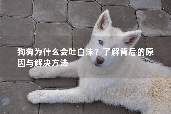 狗狗為什么會吐白沫？了解背后的原因與解決方法