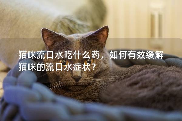 貓咪流口水吃什么藥，如何有效緩解貓咪的流口水癥狀？