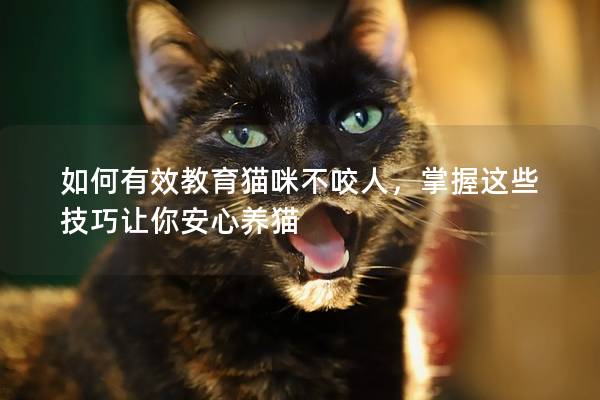 如何有效教育貓咪不咬人，掌握這些技巧讓你安心養貓