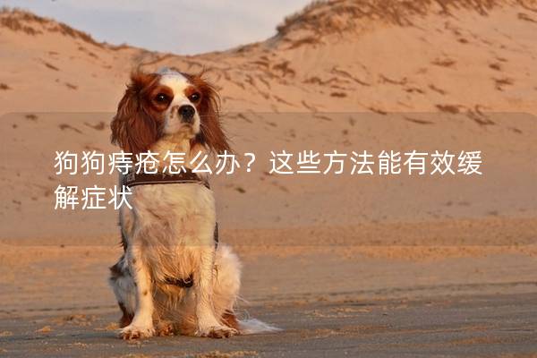 狗狗痔瘡怎么辦?這些方法能有效緩解癥狀 狗狗痔瘡怎么辦?這些方法能有效緩解癥狀