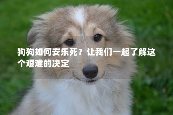 狗狗如何安樂死？讓我們一起了解這個艱難的決定