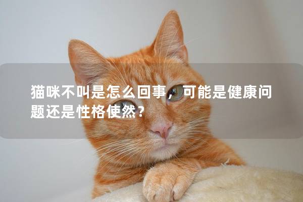 貓咪不叫是怎么回事，可能是健康問題還是性格使然？