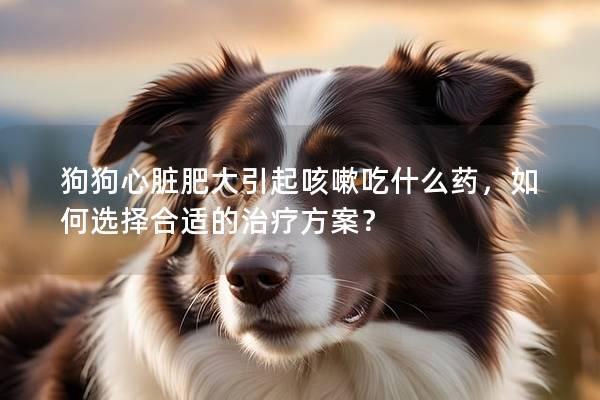 狗狗心臟肥大引起咳嗽吃什么藥，如何選擇合適的治療方案？