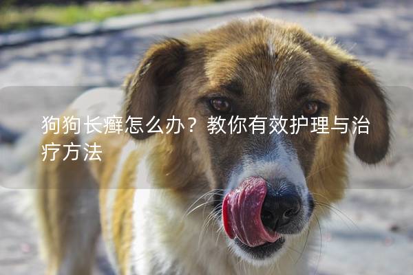 狗狗長癬怎么辦？教你有效護理與治療方法