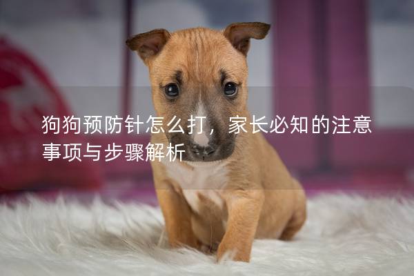 狗狗預防針怎么打,家長必知的注意事項與步驟解析 狗狗預防針怎么打,家長必知的注意事項與步驟解析