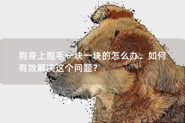 狗身上脫毛一塊一塊的怎么辦，如何有效解決這個(gè)問(wèn)題？