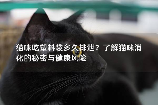貓咪吃塑料袋多久排泄？了解貓咪消化的秘密與健康風險
