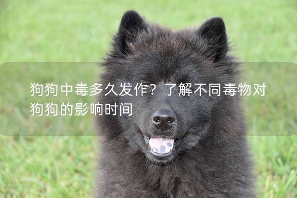 狗狗中毒多久發作？了解不同毒物對狗狗的影響時間