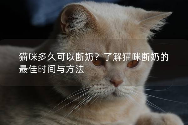 貓咪多久可以斷奶？了解貓咪斷奶的最佳時(shí)間與方法