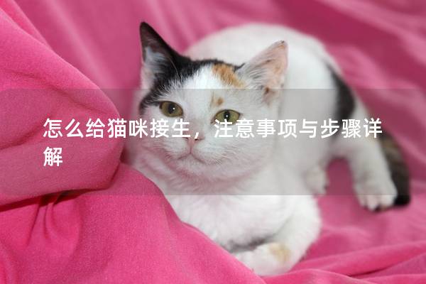 怎么給貓咪接生，注意事項(xiàng)與步驟詳解