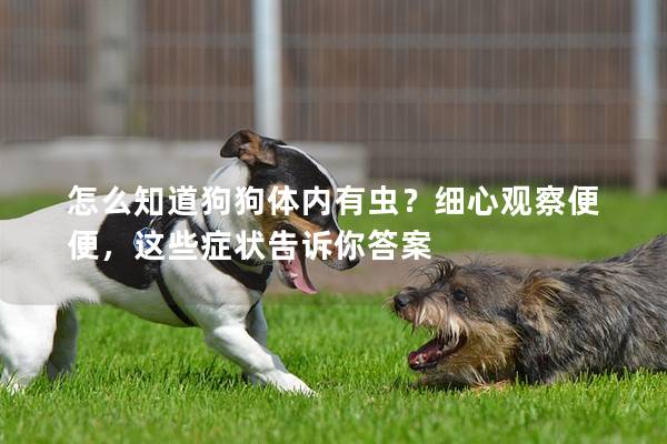 怎么知道狗狗體內有蟲？細心觀察便便，這些癥狀告訴你答案