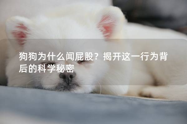 狗狗為什么聞屁股？揭開這一行為背后的科學秘密