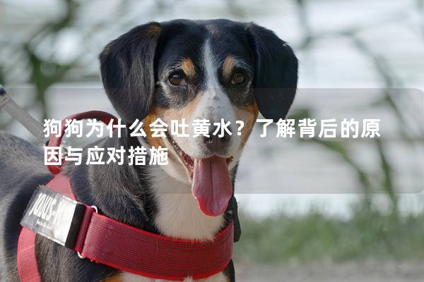 狗狗為什么會吐黃水？了解背后的原因與應(yīng)對措施