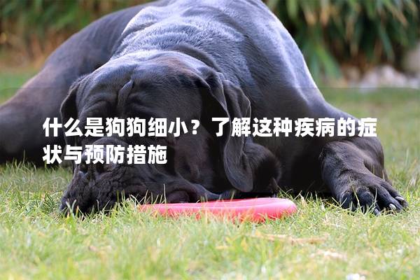 什么是狗狗細?。苛私膺@種疾病的癥狀與預防措施