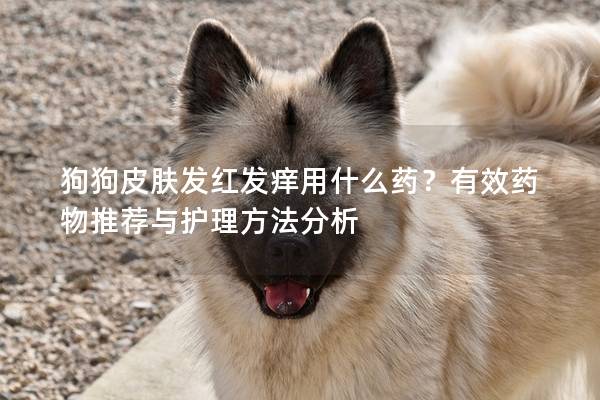 狗狗皮膚發(fā)紅發(fā)癢用什么藥？有效藥物推薦與護(hù)理方法分析