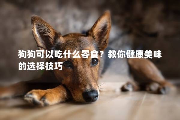 狗狗可以吃什么零食？教你健康美味的選擇技巧