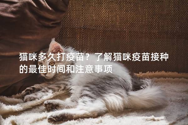 貓咪多久打疫苗？了解貓咪疫苗接種的最佳時間和注意事項
