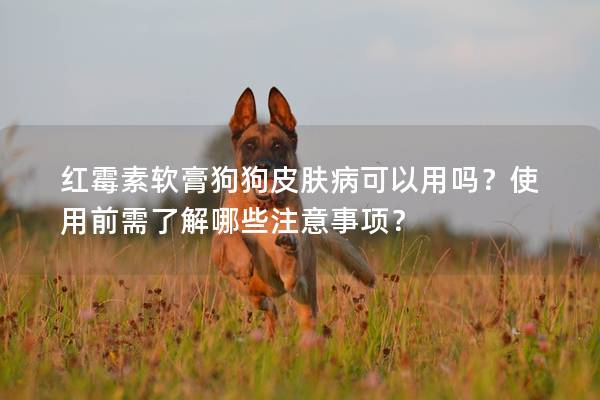 紅霉素軟膏狗狗皮膚病可以用嗎？使用前需了解哪些注意事項(xiàng)？
