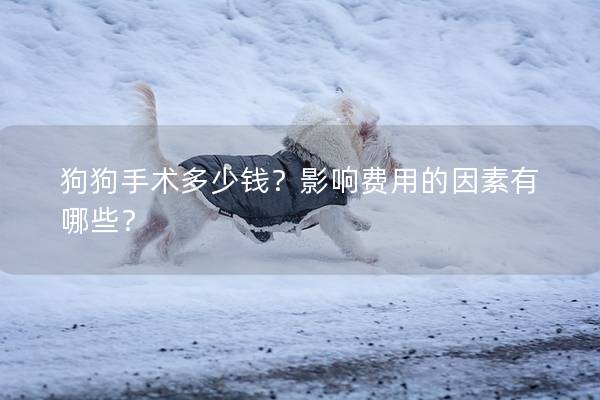 狗狗手術多少錢？影響費用的因素有哪些？