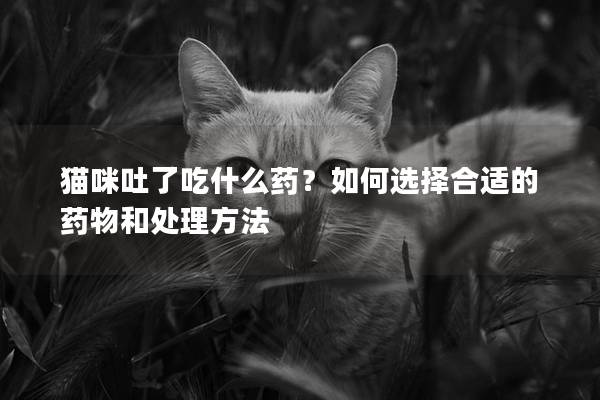 貓咪吐了吃什么藥？如何選擇合適的藥物和處理方法