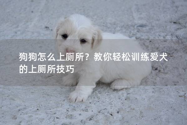 狗狗怎么上廁所？教你輕松訓練愛犬的上廁所技巧