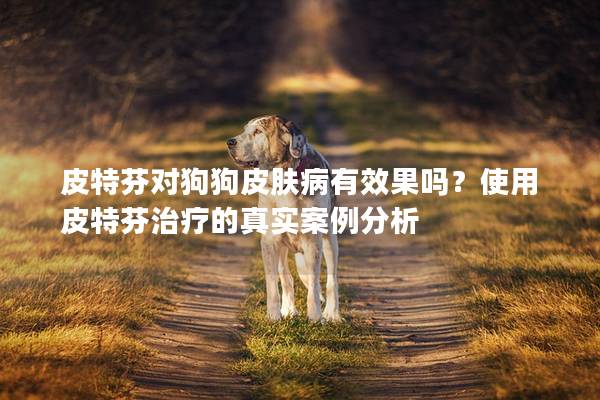 皮特芬對(duì)狗狗皮膚病有效果嗎？使用皮特芬治療的真實(shí)案例分析