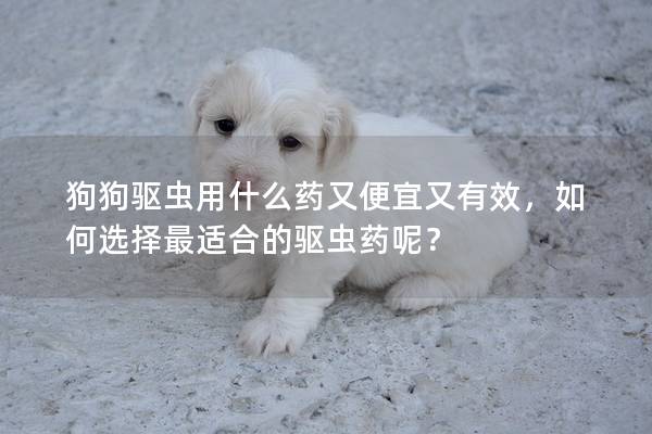 狗狗驅蟲用什么藥又便宜又有效,如何選擇最適合的驅蟲藥呢? 狗狗驅蟲用什么藥又便宜又有效,如何選擇最適合的驅蟲藥呢?
