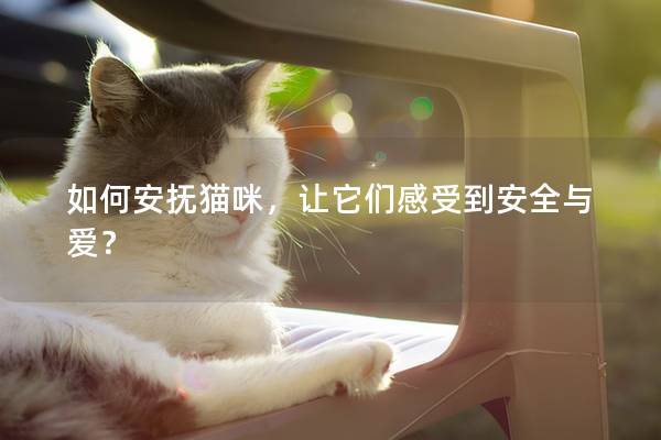 如何安撫貓咪，讓它們感受到安全與愛(ài)？