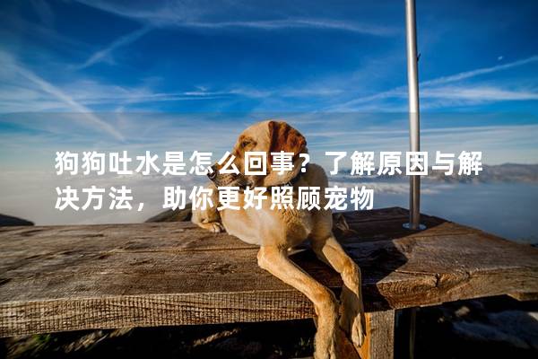 狗狗吐水是怎么回事？了解原因與解決方法，助你更好照顧寵物