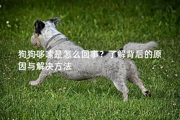 狗狗哆嗦是怎么回事？了解背后的原因與解決方法