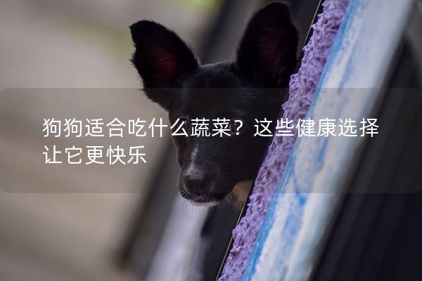 狗狗適合吃什么蔬菜？這些健康選擇讓它更快樂