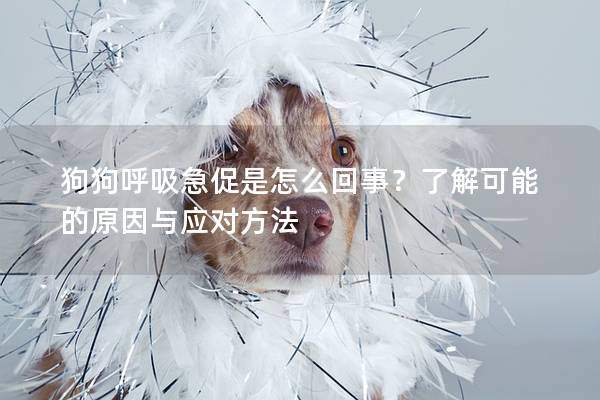 狗狗呼吸急促是怎么回事？了解可能的原因與應對方法
