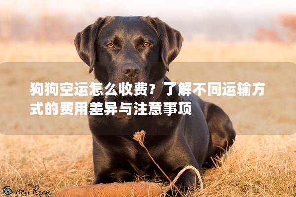 狗狗空運怎么收費？了解不同運輸方式的費用差異與注意事項