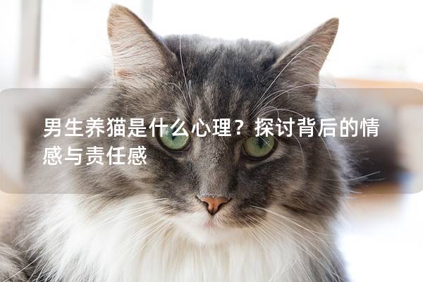 男生養貓是什么心理？探討背后的情感與責任感